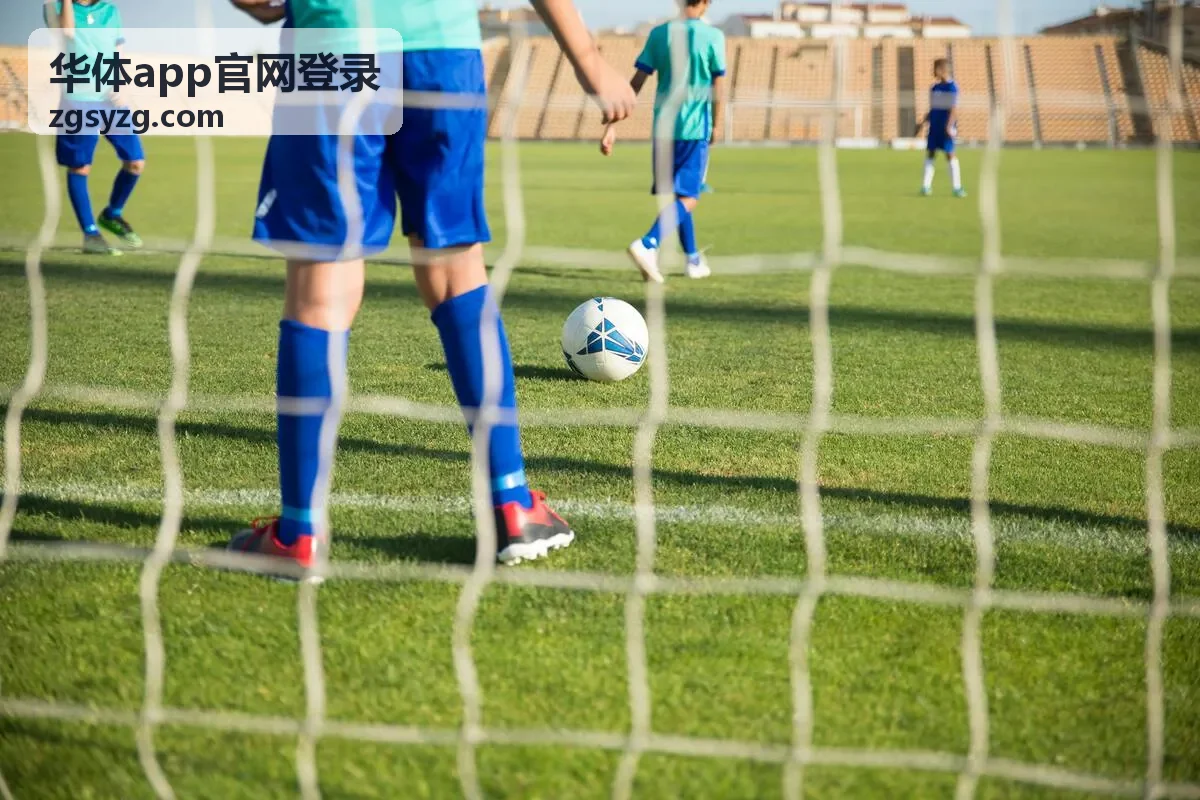华体app官网登录个人资料字段与修改范围说明封面