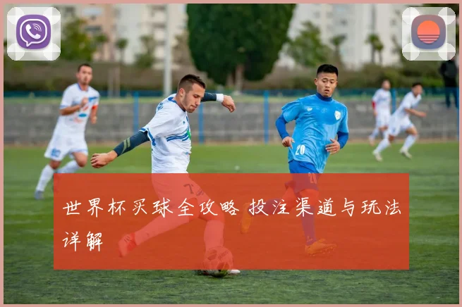 世界杯买球全攻略 投注渠道与玩法详解