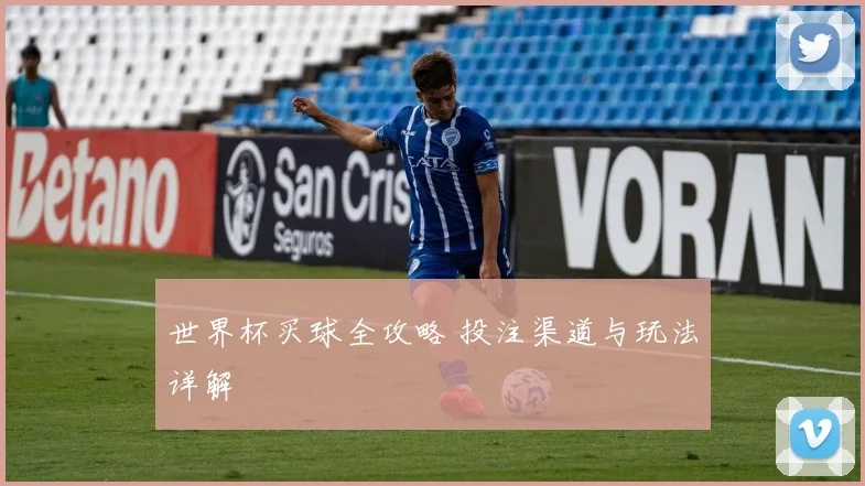 世界杯买球全攻略 投注渠道与玩法详解