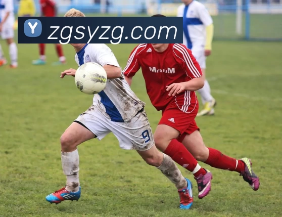 辅助工具 辅助工具